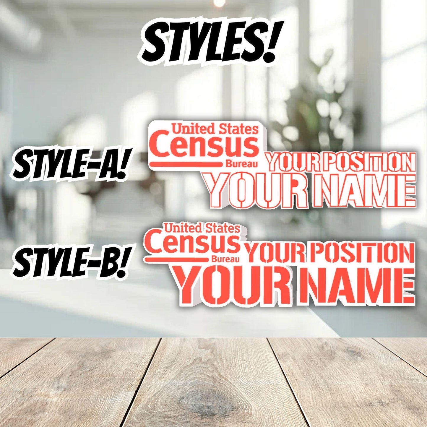 Personalized Census Bureau Desk Name Plate, USCB Name Plaque, Office gift for Boss