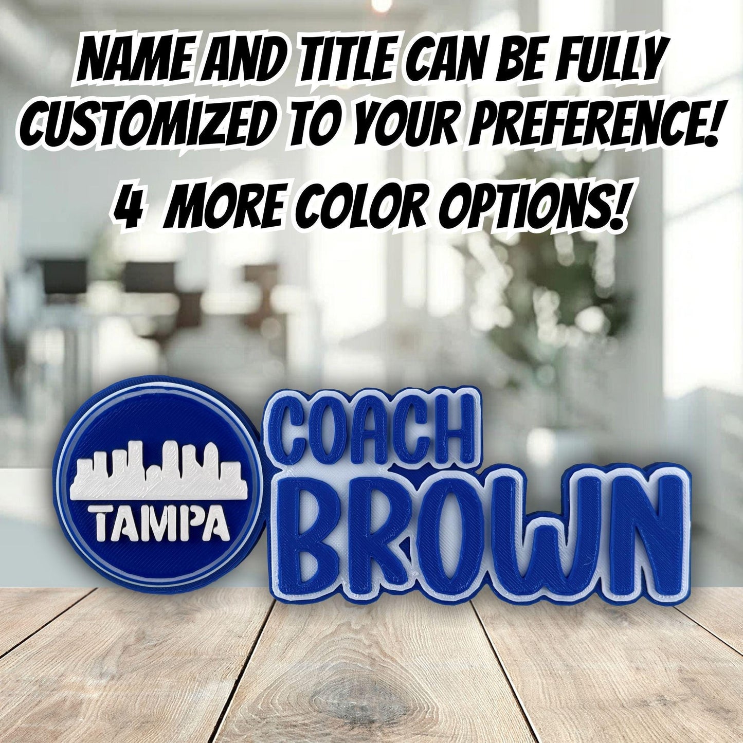 Personalized Tampa Skyline Desk Name Plate, New Job Gift, Office Accessory